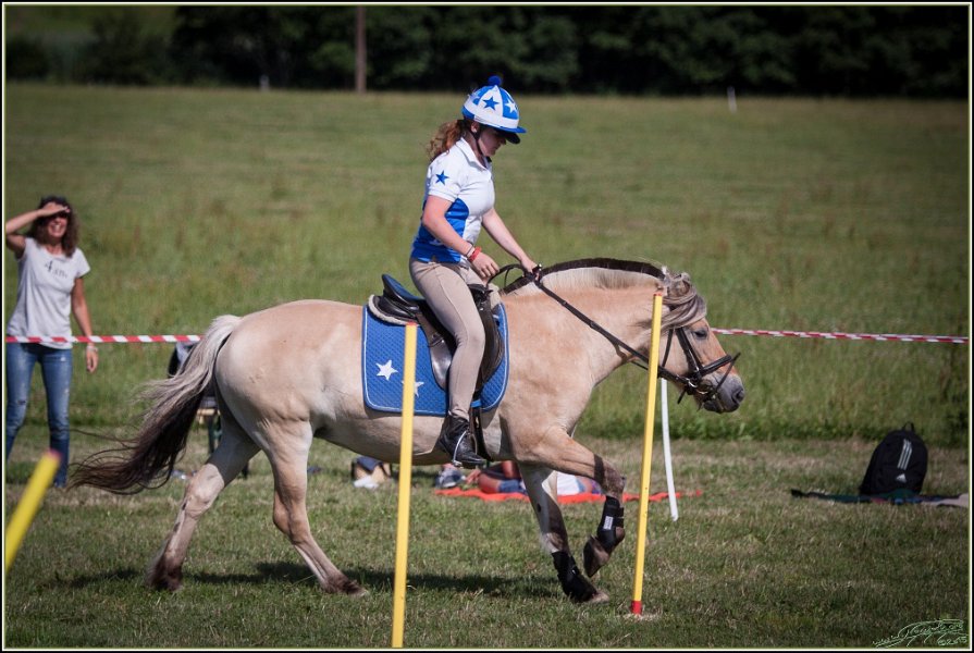Mounted Games 332